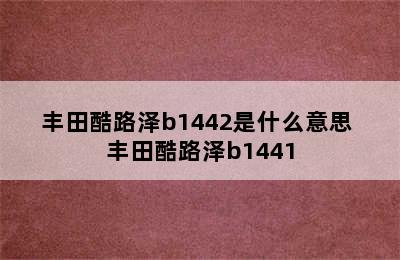 丰田酷路泽b1442是什么意思 丰田酷路泽b1441